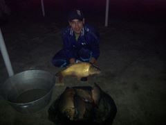 i fish